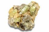 Lustrous, Yellow Apatite Crystals on Calcite - Morocco #251158-1